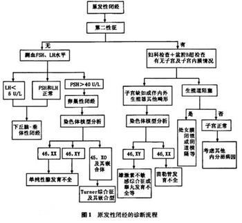 闭经诊断