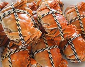 死蟹为什么不能吃怎样挑选好的螃蟹