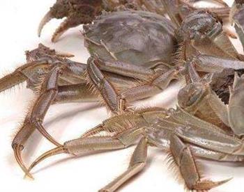 大闸蟹孕妇能吃吗 大闸蟹的几种吃法