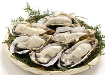 牡蛎健康吃法 牡蛎的营养功效