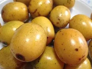 野酸枣_野酸枣的功效与作用_野酸枣的营养价值_野酸枣的做法