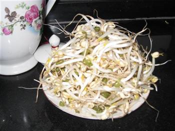 我用茶壶发绿豆芽的做法步骤5