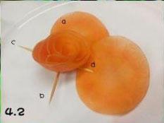 胡萝卜玫瑰花的做法图解11