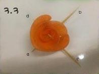 胡萝卜玫瑰花的做法图解9