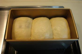 桂圆吐司面包的做法步骤18