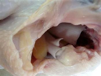 手撕鸡的做法图解3