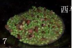 腊肉烩豌豆的做法步骤7