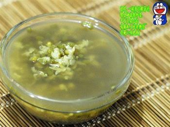 清凉解暑绿豆汤的做法图解6