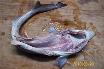 葱姜蒜香鲨鱼煲的做法图解2