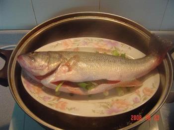 粤式蒸鲈鱼的做法步骤2