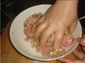鮮肉汤圆的做法步骤15