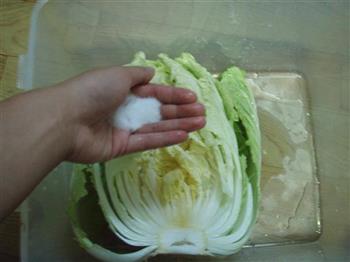 朝鲜辣白菜的做法步骤3