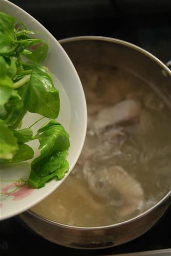 鱼片豌豆尖汤的做法图解7