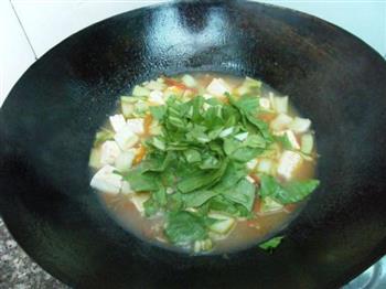 青菜炖豆腐的做法步骤8