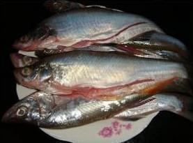 红烧刁子鱼的做法步骤1