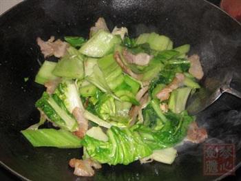 咸肉炒猪乸菜的做法步骤6