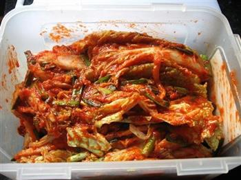 韩国泡菜的做法步骤9