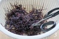 紫晶藻鲜虾豆腐汤的做法图解3