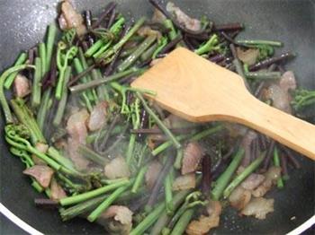 蕨菜炒腊肉的做法图解9
