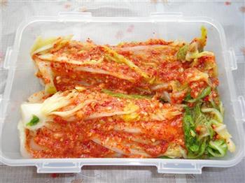 韩国辣白菜的做法步骤25