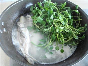 西洋菜鱼汤的做法步骤7