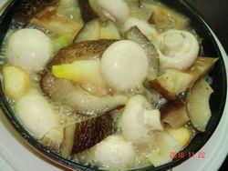葱烧海参烩口蘑的做法步骤7