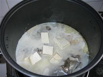 黑鱼豆腐汤的做法图解16