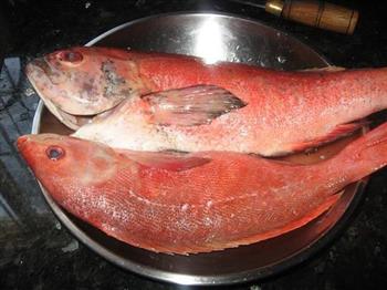 清蒸红鲷鱼的做法步骤1