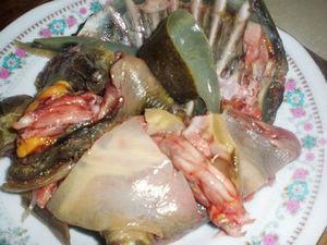 红烧甲鱼的做法步骤2