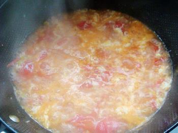 西红柿鸡蛋汤的做法图解5