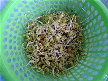尖椒炒豆芽的做法步骤2
