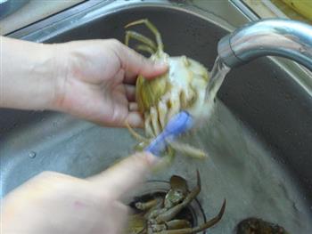 清蒸螃蟹的做法步骤3