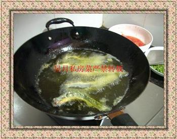 麻辣干煸回锅泥鳅的做法步骤5