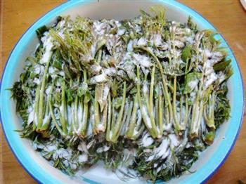 传统法腌制香椿芽的做法图解7