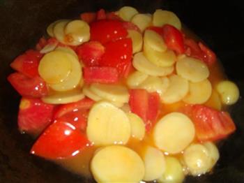 番茄炒土豆的做法步骤5