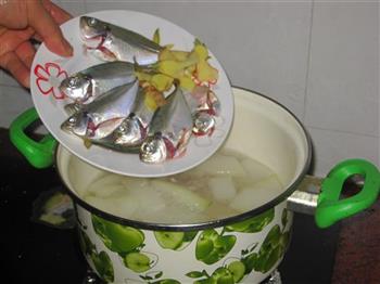 青鲳仔煲冬瓜汤的做法步骤5