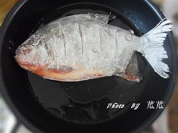 红烧鳊鱼的做法图解5