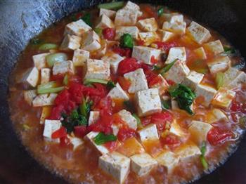 快手茄汁炖豆腐的做法步骤10
