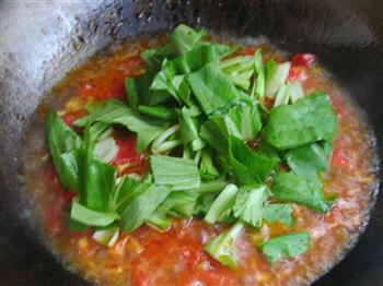 快手茄汁炖豆腐的做法步骤8