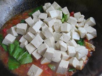 快手茄汁炖豆腐的做法步骤9