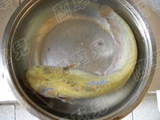 砂锅鲶鱼汤的做法步骤1
