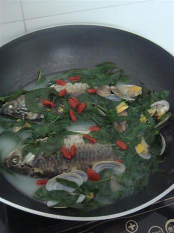 鲫鱼花蛤枸杞叶汤的做法步骤10