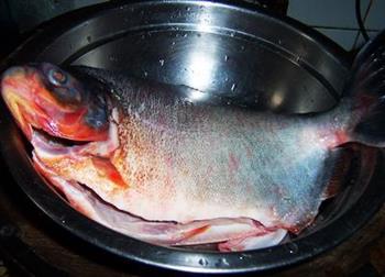 红烧白鲳鱼的做法图解1