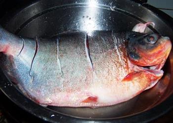 红烧白鲳鱼的做法步骤2