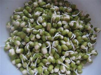 自制绿豆芽的做法步骤2