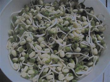自制绿豆芽的做法步骤4