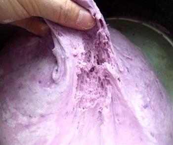 紫薯牛奶馒头的做法图解5
