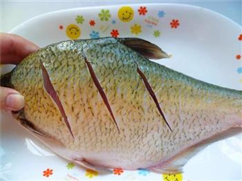 红烧鳊鱼的做法图解2
