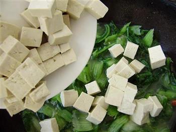 白菜炖豆腐的做法步骤5