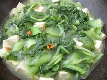 白菜炖豆腐的做法步骤6